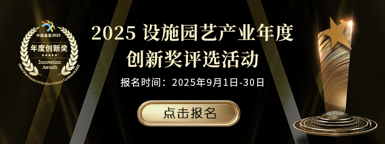 創(chuàng)新獎(jiǎng)