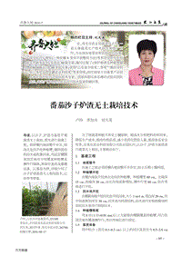 番茄沙子爐渣無(wú)土栽培技術(shù).pdf