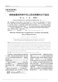 湖南省番茄和牽?；ㄉ想p生病毒的分子鑒定_班一云.pdf