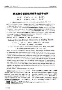 陜西楊凌番茄褪綠病毒的分子檢測.pdf