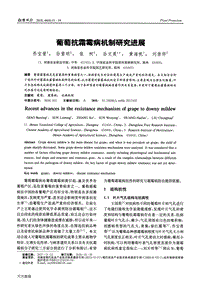 葡萄抗霜霉病機(jī)制研究進(jìn)展.pdf
