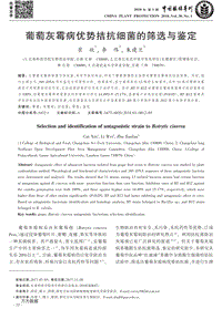 葡萄灰霉病優(yōu)勢(shì)拮抗細(xì)菌的篩選與鑒定.pdf