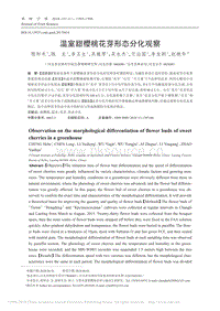 溫室甜櫻桃花芽形態(tài)分化觀察_程和禾.pdf