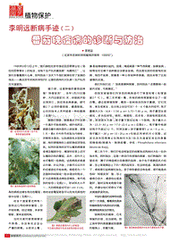 李明遠(yuǎn)斷病手跡（二）番茄晚疫病的診斷與防治.pdf