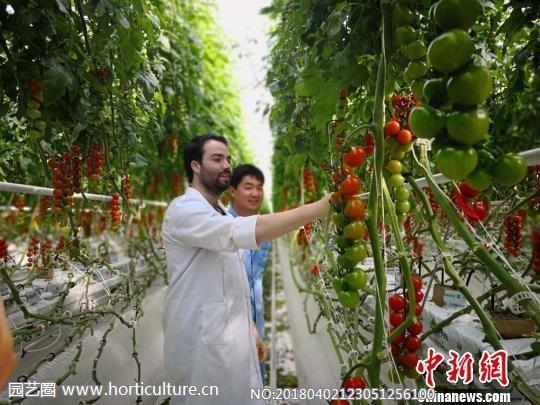 海升集團平涼基地番茄星球里.jpg