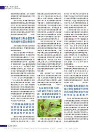 作物根蛆類害蟲綜合防治技術(shù)研究省略項(xiàng)目2016年度總結(jié)會在北京召開.pdf