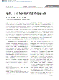 河南甘肅和新疆西瓜甜瓜病毒檢測.pdf