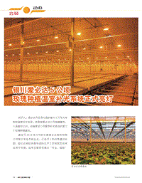 銀川愛必達(dá)5公頃玫瑰種植溫室補(bǔ)光系統(tǒng)正式亮燈.pdf