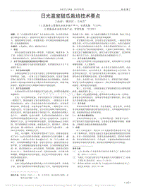 日光溫室甜瓜栽培技術要點
