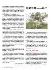 南果北種——都市型農(nóng)業(yè)新亮點(diǎn)