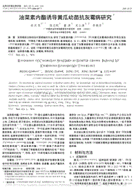 油菜素內酯誘導黃瓜幼苗抗灰霉病研究