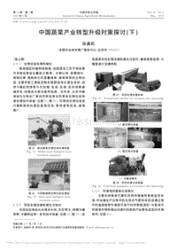 中國蔬菜產(chǎn)業(yè)轉(zhuǎn)型升級對策探討(下)