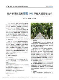 高產(chǎn)節(jié)瓜新品種翠星101早春大棚栽培技術(shù)燕