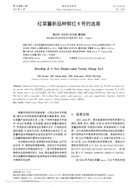 紅菜薹新品種鄂紅5號(hào)的選育_聶啟軍.pdf