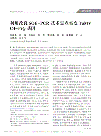 利用改良SOE_PCR技術(shù)定點突變TuMVC4_VPg基因_李國亮.pdf