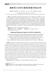 重瓣百合LiAGL6基因的克隆與表達(dá)分析_隋娟娟.pdf