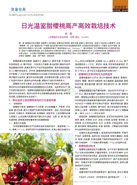 日光溫室甜櫻桃高產(chǎn)高效栽培技術(shù)_何莉.pdf