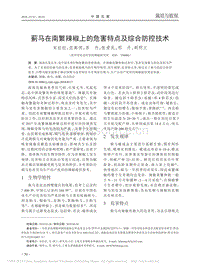 薊馬在南繁辣椒上的危害特點及綜合防控技術(shù)_宋拉拉.pdf