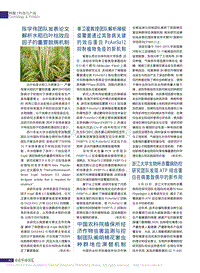 單衛(wèi)星教授團隊解析辣椒疫霉菌通過其致病關(guān)鍵的效應蛋白PcAvr3a12抑制植物免疫的新機制_鄭慶偉.pdf