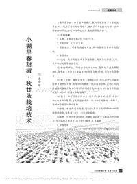 小棚早春甜椒、秋甘藍(lán)栽培技術(shù)_李雪雁.pdf