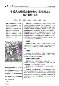 冬暖式大棚番茄套種豇豆(輪作甜瓜)高產(chǎn)栽培技術(shù).pdf