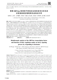 葡萄SBP-box轉(zhuǎn)錄因子家族的生物信息學(xué)分析及其應(yīng)答激素調(diào)控葡萄果實成熟的作用.pdf