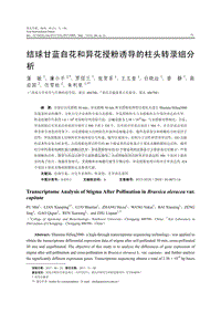 結(jié)球甘藍自花和異花授粉誘導的柱頭轉(zhuǎn)錄組分析.pdf
