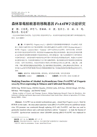 森林草莓醇?；D(zhuǎn)移酶基因FvAATW2功能研究.pdf