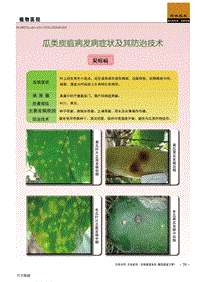 瓜類炭疽病發(fā)病癥狀及其防治技術.pdf