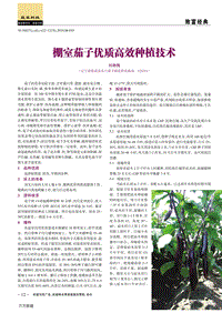 棚室茄子優(yōu)質(zhì)高效種植技術(shù).pdf