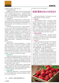 草莓灰霉病的發(fā)生與防控技術(shù).pdf