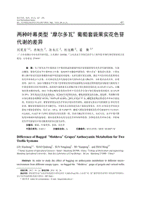 兩種葉幕類型摩爾多瓦葡萄套袋果實(shí)花色苷代謝的差異.pdf
