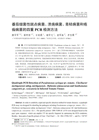 番茄細菌性斑點病菌、潰瘍病菌、青枯病菌和瘡痂病菌的四重PCR檢測方法.pdf