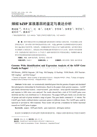 辣椒bZIP家族基因的鑒定與表達分析.pdf