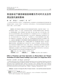 低溫脅迫下番茄嫁接苗根穗互作對葉片光合作用及氮代謝的影響.pdf