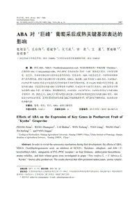 ABA對巨峰葡萄采后成熟關(guān)鍵基因表達(dá)的影響.pdf