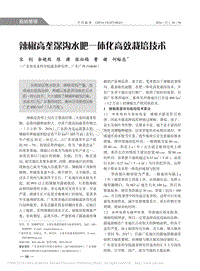 辣椒高壟深溝水肥一體化高效栽培技術