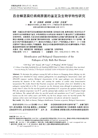 百合鱗莖腐爛病病原菌的鑒定及生物學特性研究