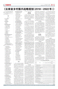 《云南省鄉(xiāng)村振興戰(zhàn)略規(guī)劃（2018—2022年）》（全文）.pdf