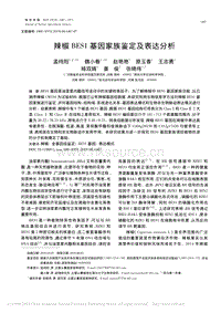 辣椒BES1基因家族鑒定及表達(dá)分析.pdf