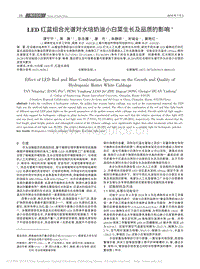 LED紅藍組合光譜對水培奶油小白菜生長及品質(zhì)的影響.pdf