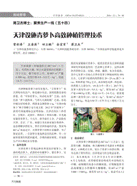 天津設(shè)施青蘿卜高效種植管理技術(shù).pdf