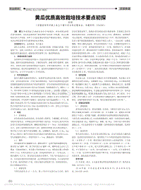 黃瓜優(yōu)質高效栽培技術要點初探.pdf
