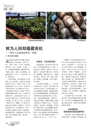 鮮為人知卻蘊藏商機——部分小眾盆栽品種有“前途”.pdf