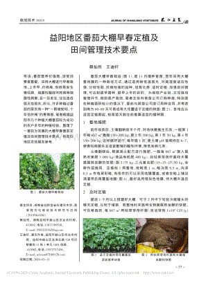 益陽地區(qū)番茄大棚早春定植及田間管理技術(shù)要點(diǎn).pdf