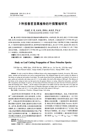 3種報春苣苔屬植物的葉插繁殖研究.pdf