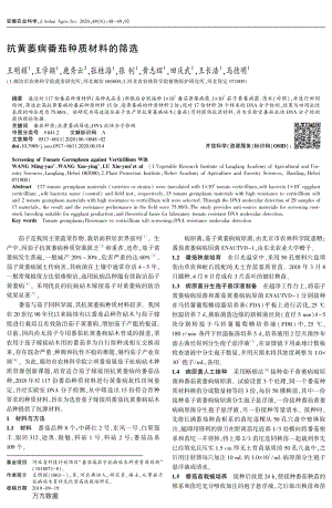 抗黃萎病番茄種質(zhì)材料的篩選.pdf