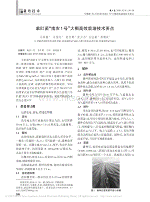 羊肚菌“南農(nóng)1號”大棚高效栽培技術(shù)要點(diǎn).pdf