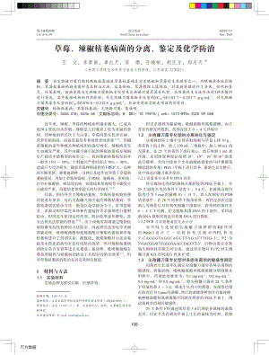 草莓、辣椒枯萎病菌的分離、鑒定及化學(xué)防治.pdf