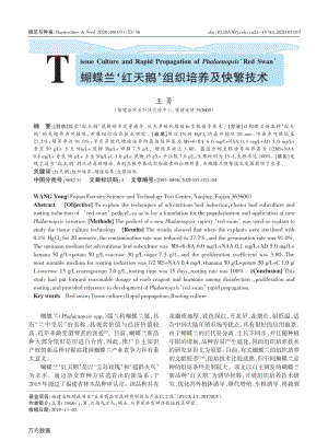 蝴蝶蘭紅天鵝''組織培養(yǎng)及快繁技術(shù).pdf